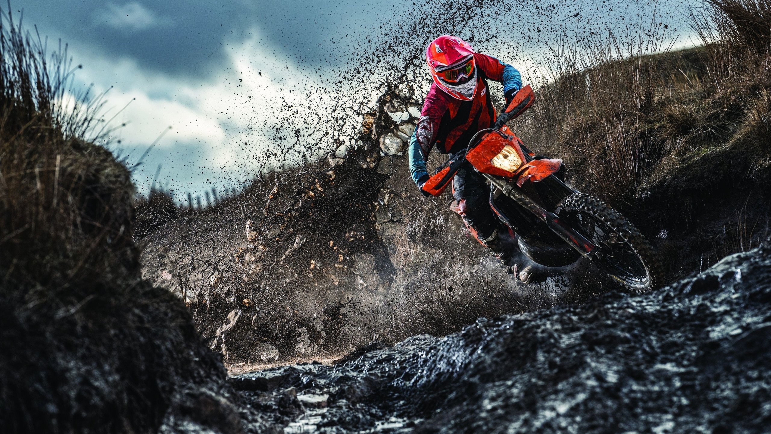 2026世界杯:场馆融合未来科技,观众体验空前提升,2026年世界杯球场